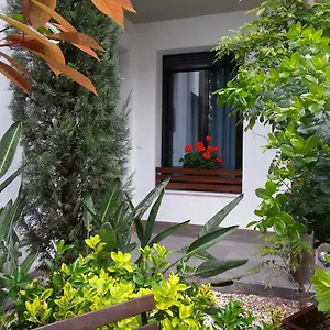 帕体奥维亚纳公寓酒店 公寓